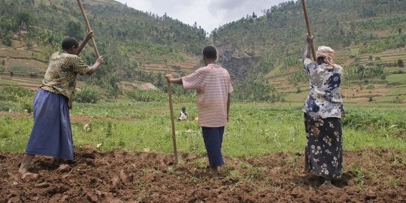 Sénégal : l’AFD débloque 55 M€ pour l’agroécologie et la biodiversité marine Sénégal : l’AFD débloque 55 M€ pour l’agroécologie et la biodiversité marine
