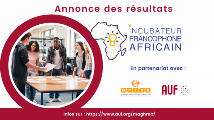 Incubateur Francophone Africain de l’AUF : 30 projets retenus