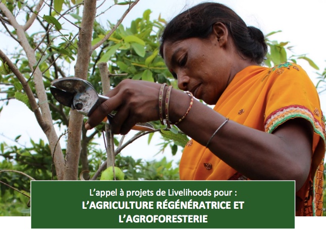L’appel à projets de Livelihoods pour l’agriculture régénératrice et l’agroforesterie