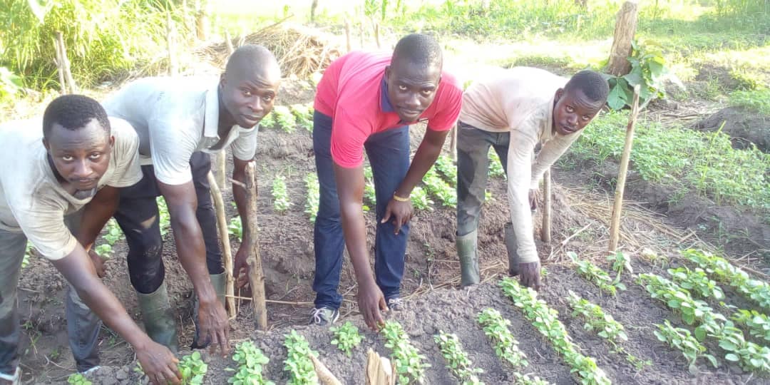 CPCCAF / Côte d’Ivoire – accompagnement des jeunes formés au Centre de Formation Agropastoral de Raviart