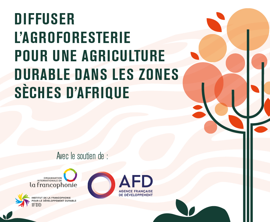 Side-Event de SOS Sahel le 6 novembre 2021: Diffuser l’agroforesterie pour une agriculture durable dans les zones sèches d’Afrique
