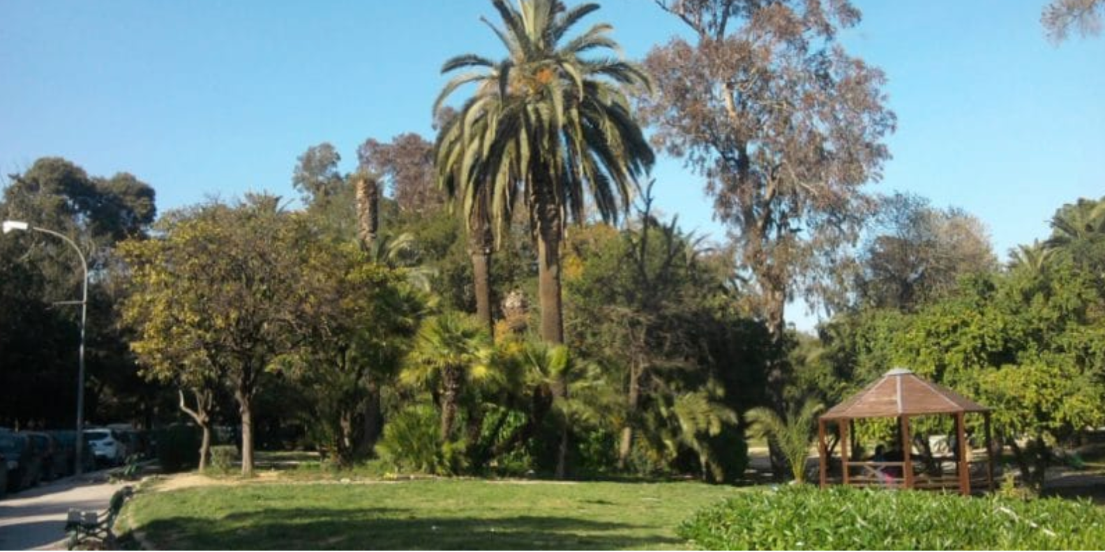 L’UE et SiccaVeneria lancent la réhabilitation du parc du Belvédère à Tunis
