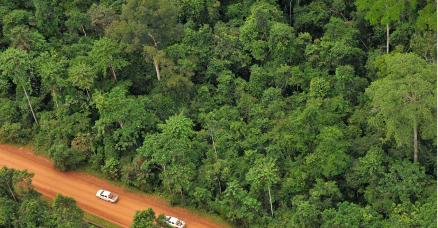 Congo-Brazzaville : Perenco compte planter 10 000 hectares de forêt