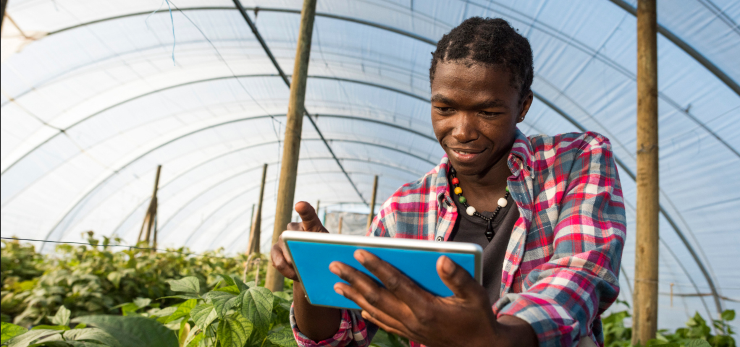 Agri Edenred, une solution de paiement 100 % digitale pour soutenir le développement des agriculteurs au Niger