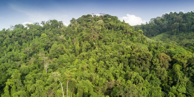 CÔTE D’IVOIRE : l’UE va lancer un programme de surveillance du couvert forestier