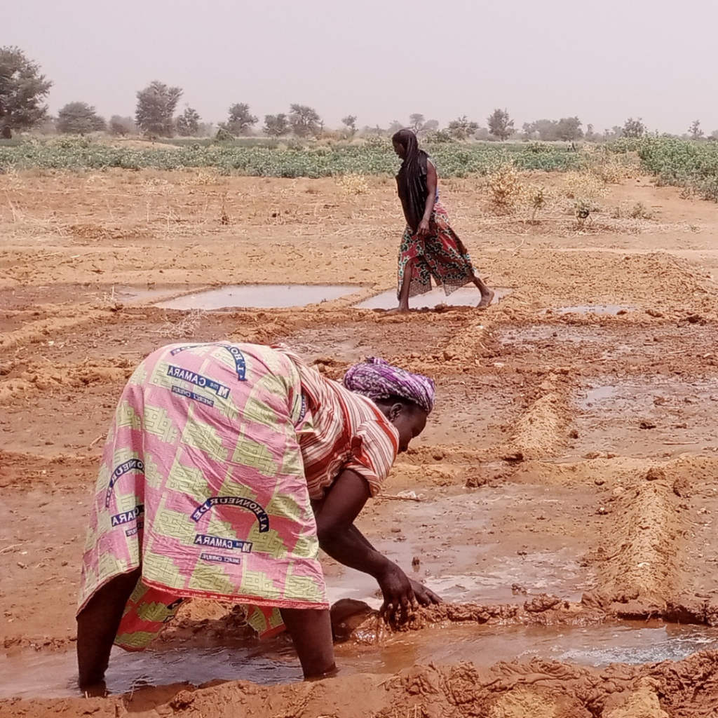Le projet Grow – témoignage de Ouma, responsable développement Empower’Her au Niger