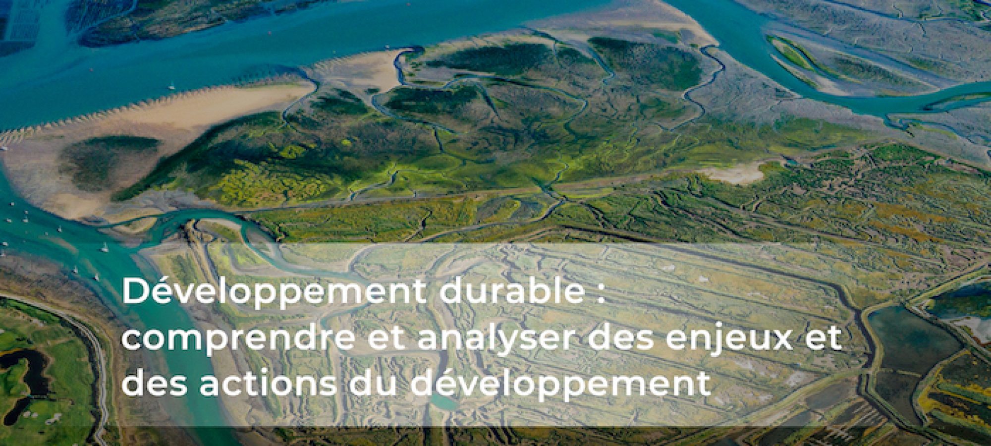 Comprendre et analyser les enjeux et les actions du développement durable, les formations en ligne de l’IFDD