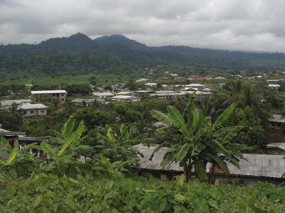 Cameroun et RDC : l’OIF octroie plus d’1 million d’euros pour de la recherche-innovation environnementale