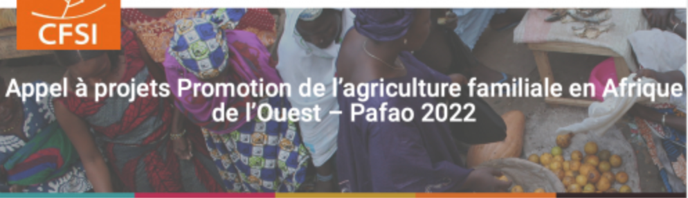 Le CFSI et la Fondation de France : appel à projets 2022 du programme de promotion de l’agriculture familiale en Afrique de l’Ouest