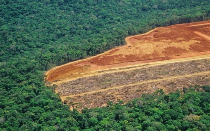 La France vise un accord des 27 d’ici à fin juin pour lutter contre la déforestation importée dans l’UE