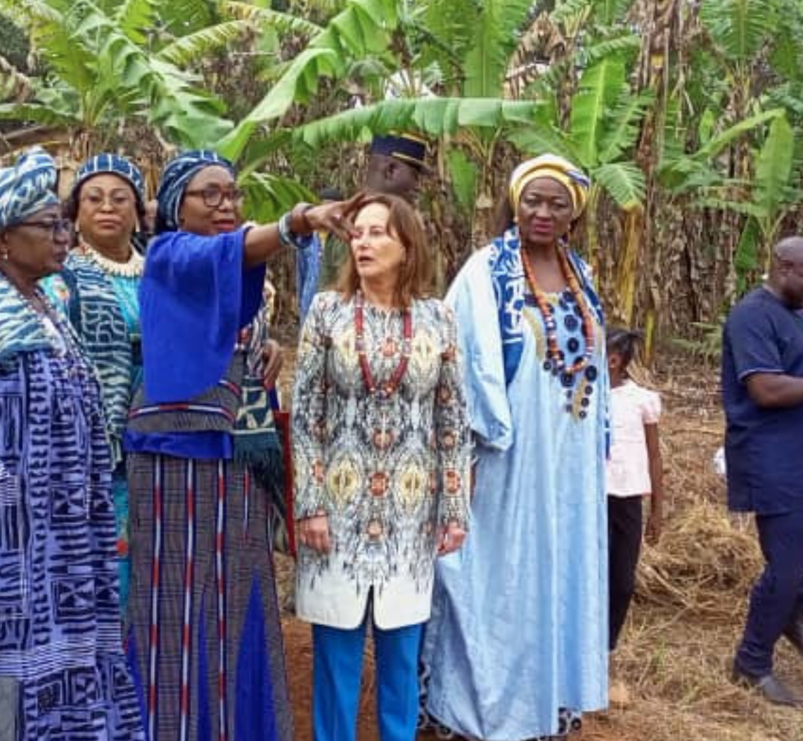 Cameroun : installation de panneaux photovoltaïques avec l’ONG française “Désirs d’Avenir pour la Planète »