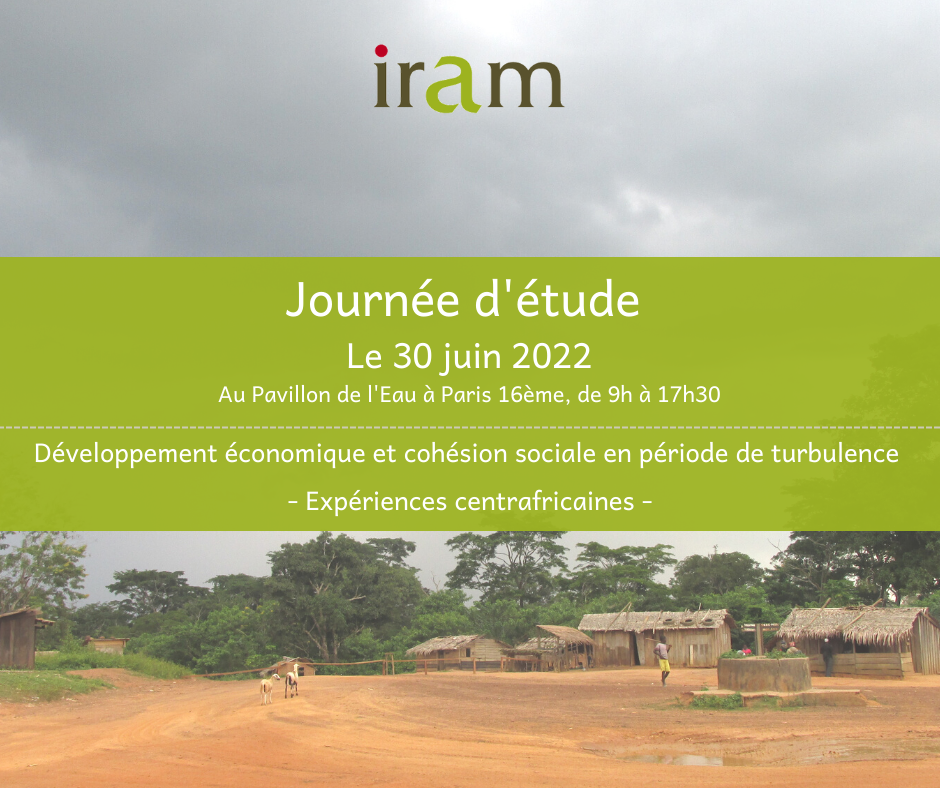 Journée d’étude de l’Iram : Développement économique et cohésion sociale en période de turbulence – Expériences centrafricaines