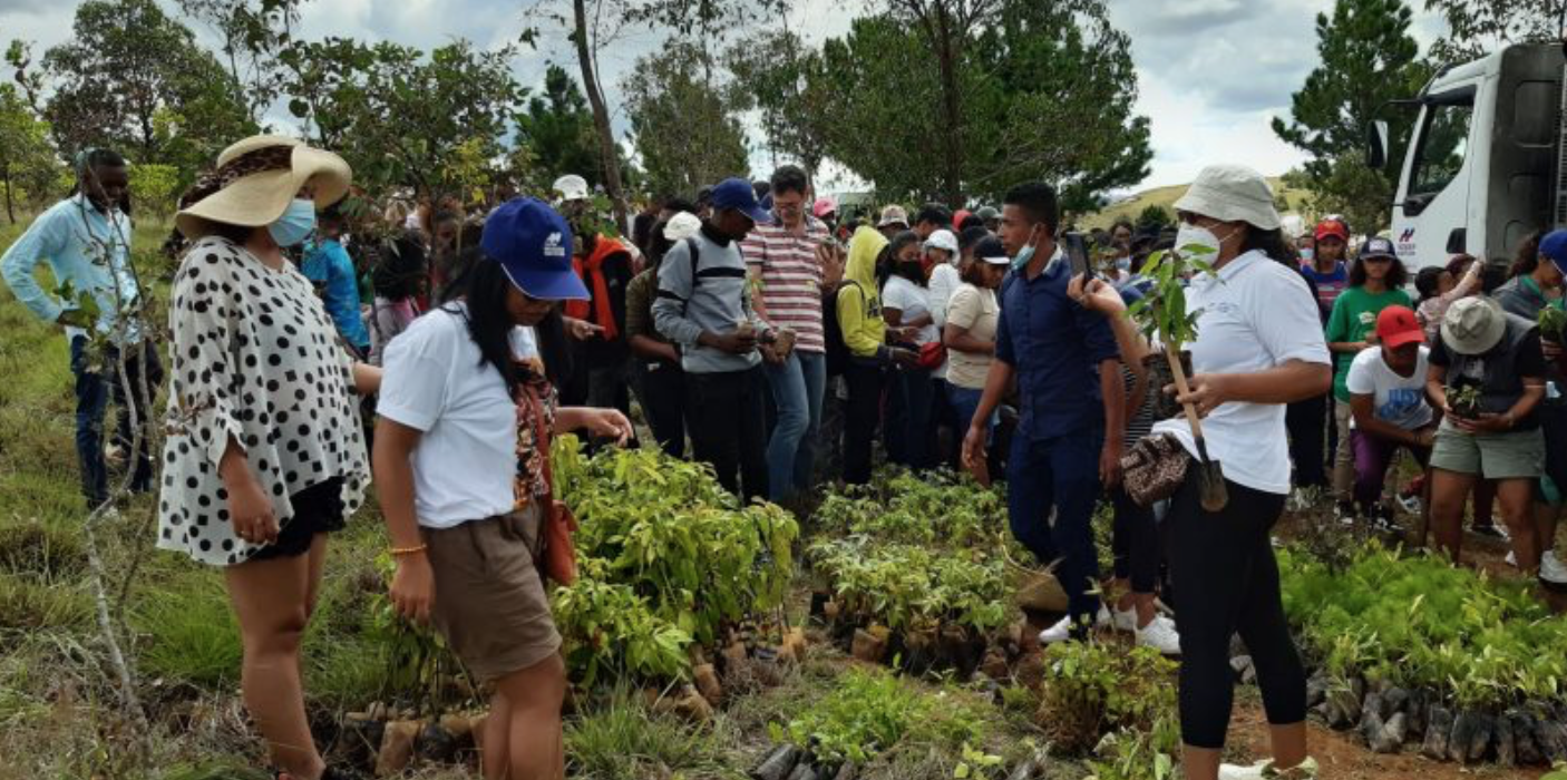 Madagascar : Sogea-Satom lance une opération de reboisement à Antolojanahary