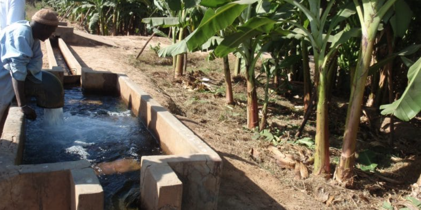 Ghana : une subvention de 44 M€ de l’AFD et l’UE pour 35 systèmes d’irrigation