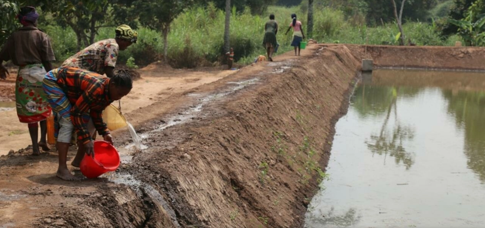 En Afrique, la pisciculture paysanne, une solution locale avec l’Apdra