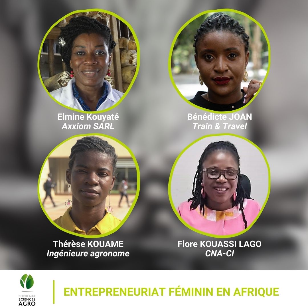 Chaire Pierre Castel : organisation d’une table ronde virtuelle sur l’entrepreneuriat féminin en Afrique