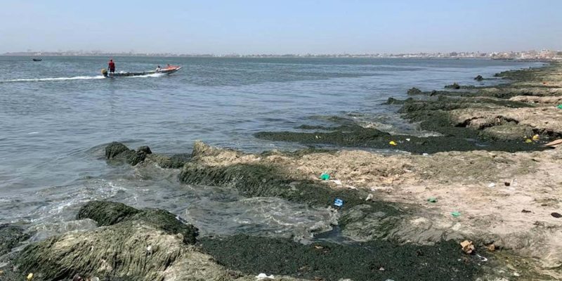 Sénégal : Suez gagne le contrat de dépollution de la baie de Hann à Dakar