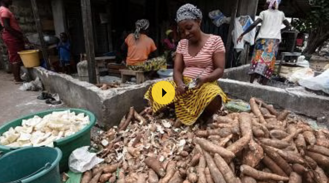 Bénin : des femmes produisent du biogaz à base d’épluchures de manioc