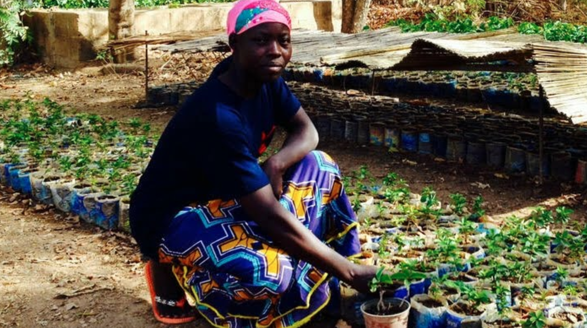 COP15 désertification: au Burkina Faso, la ferme de Guié restaure les sols dégradés – un reportage avec Ibrahim Thiaw et Rémi Hemerick de SOS SAHEL International France