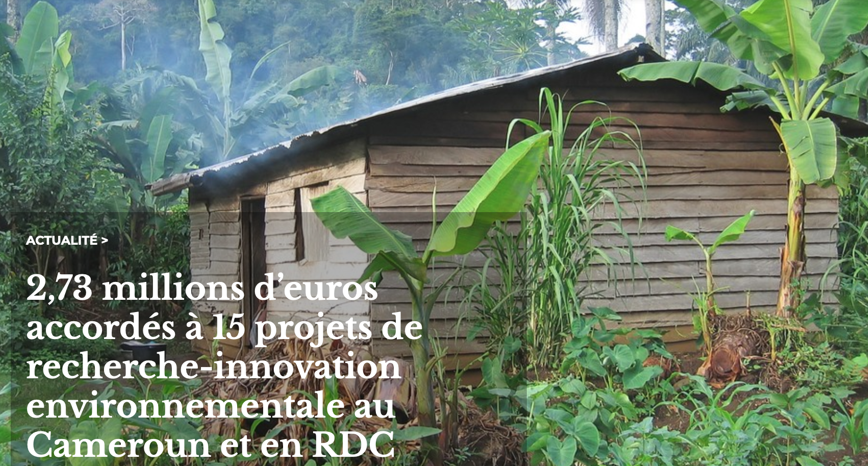 L’IFDD et ses partenaires ont retenu 15 projets majeurs de recherche-innovation pour soutenir le développement durable dans le Bassin du Congo
