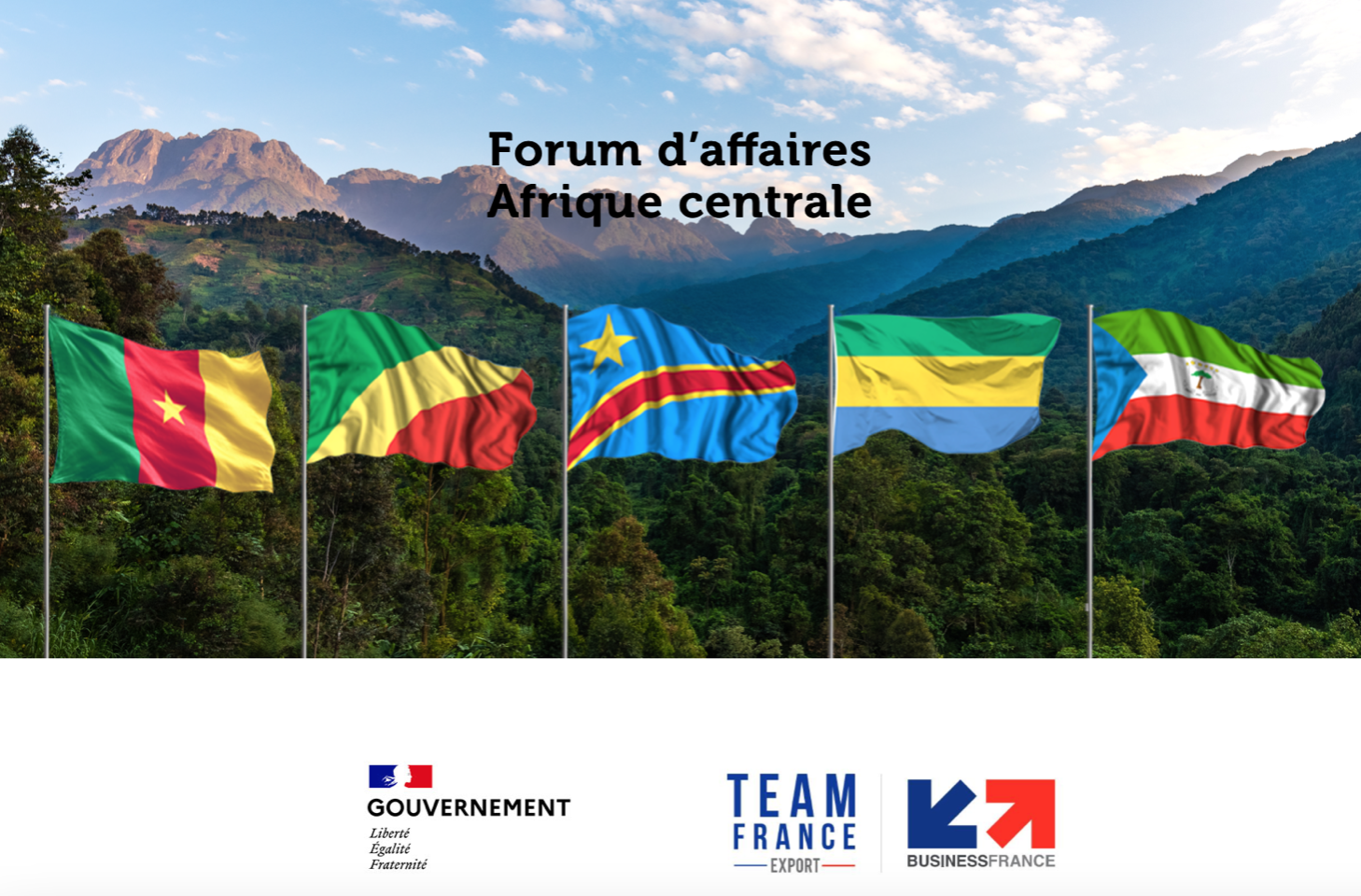 Forum d’Affaires Afrique centrale des 28-29 juin : la liste des intervenants dévoilée