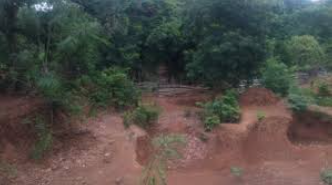 Environnement : un projet de résilience financé par L’AFD va toucher toutes les communes rurales de la Guinée