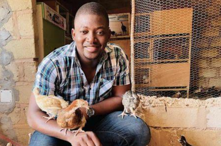 Faso Élevage Bio soutient la production locale de poulets grâce à ses couveuses solaires
