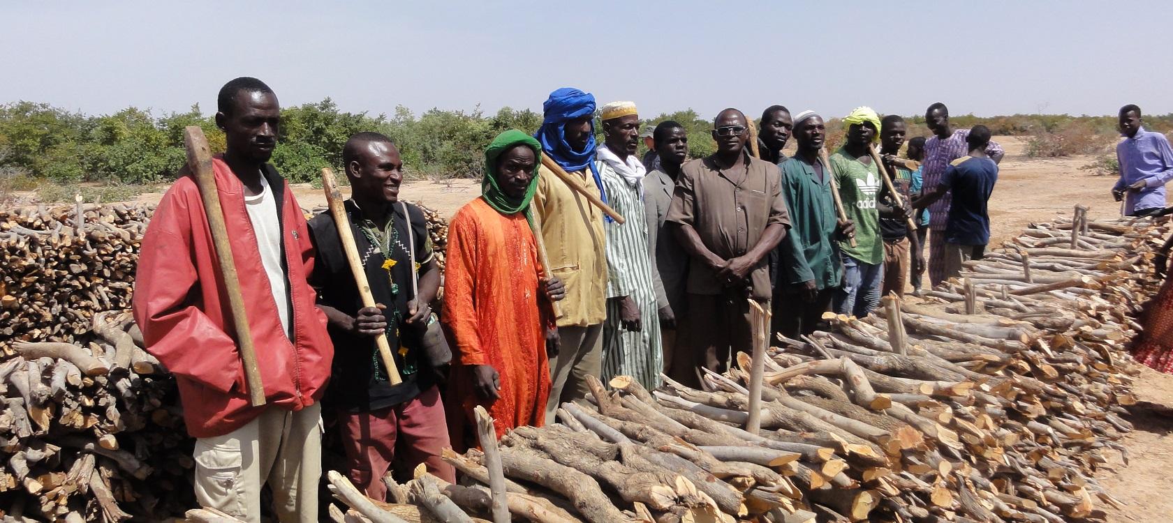 Au Niger, les satellites luttent contre la déforestation