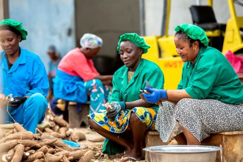 La GIZ s’associe avec Comoé Capital du groupe I&P pour renforcer l’agro-industrie ivoirienne