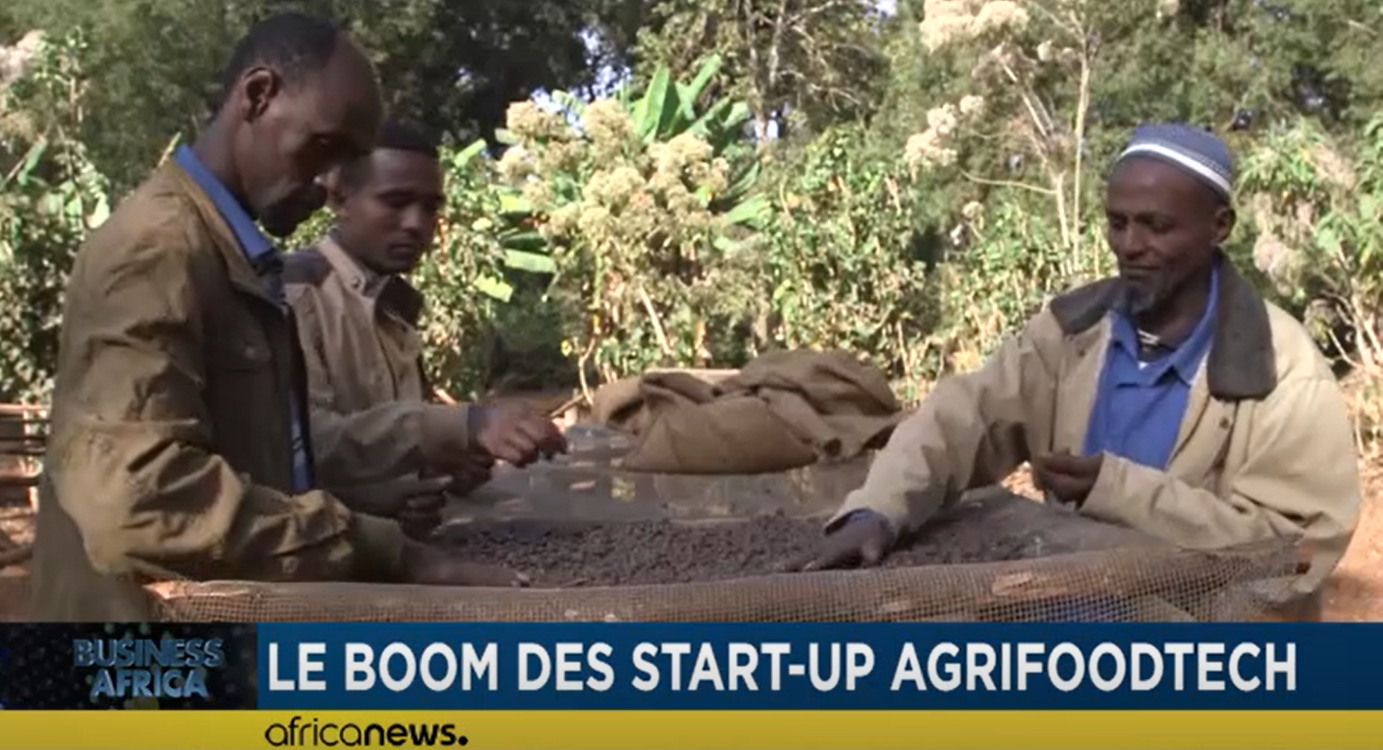 Le boom des start-up agrifoodtech