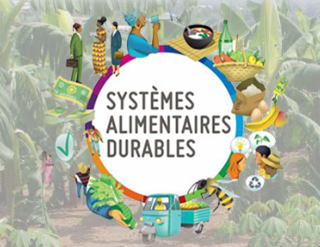 Muse organise un séminaire internationale sur les systèmes alimentaires en Afrique et Méditerranée les 7, 8 et 9 novembre