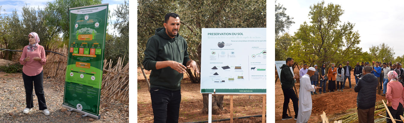 Agrisud et ses partenaires accompagnent la transition agro-écologique de la Commune de Ghassate au maroc