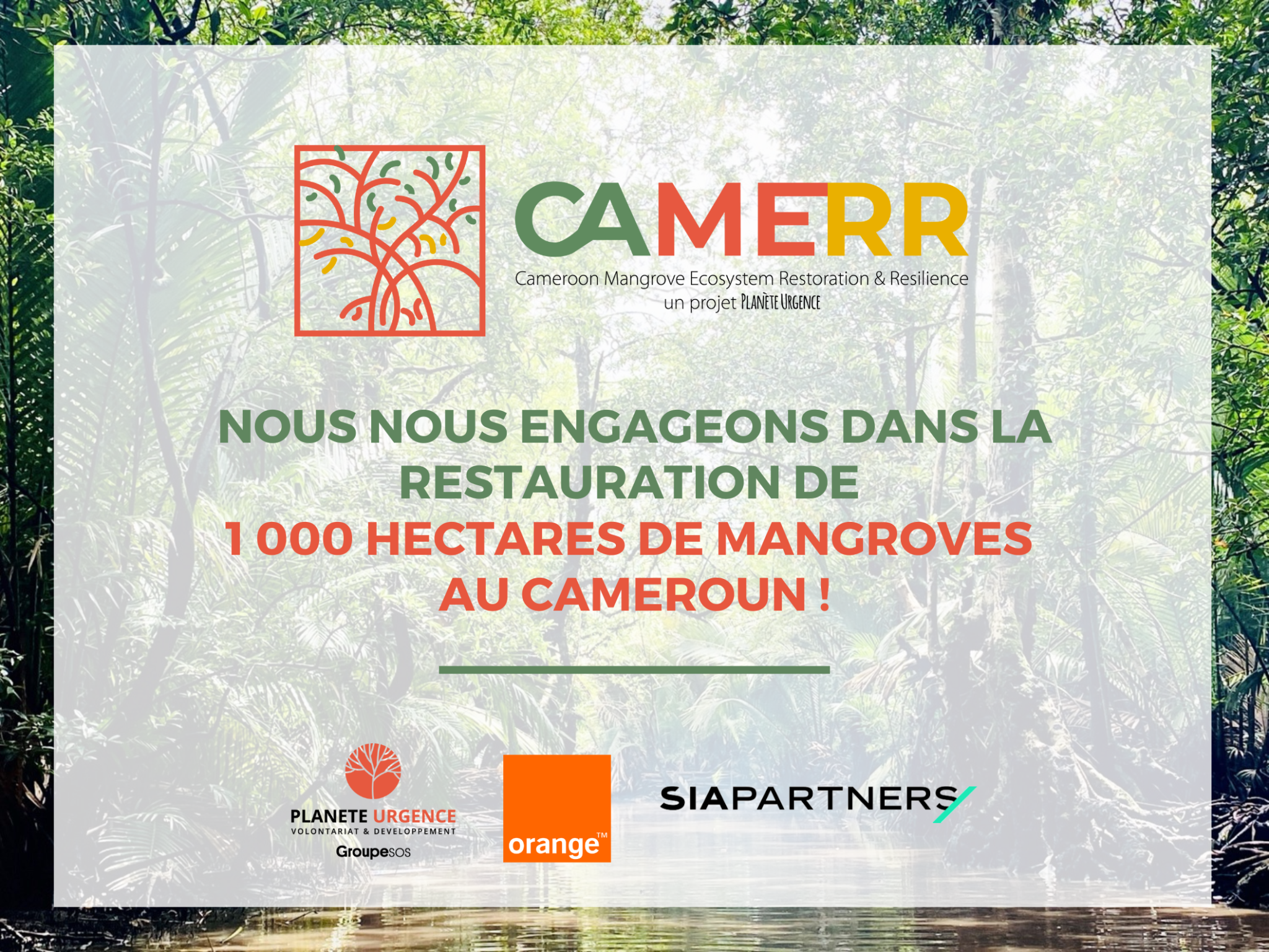 Planète Urgence, Sia partners et Orange lance un projet de restauration de mangroves au cameroun