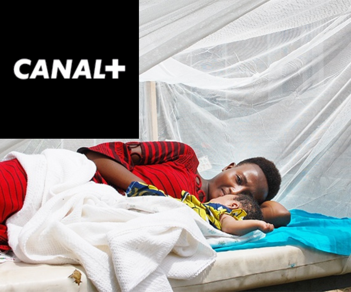 Lutte contre le paludisme : Canal+ offre 1500 moustiquaires imprégnées aux enfants talibés de la région de Kaolack
