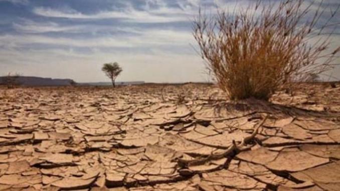 Evenement AFD: Changement climatique, crise économique mondiale : Comment l’Afrique va-t-elle réagir ?