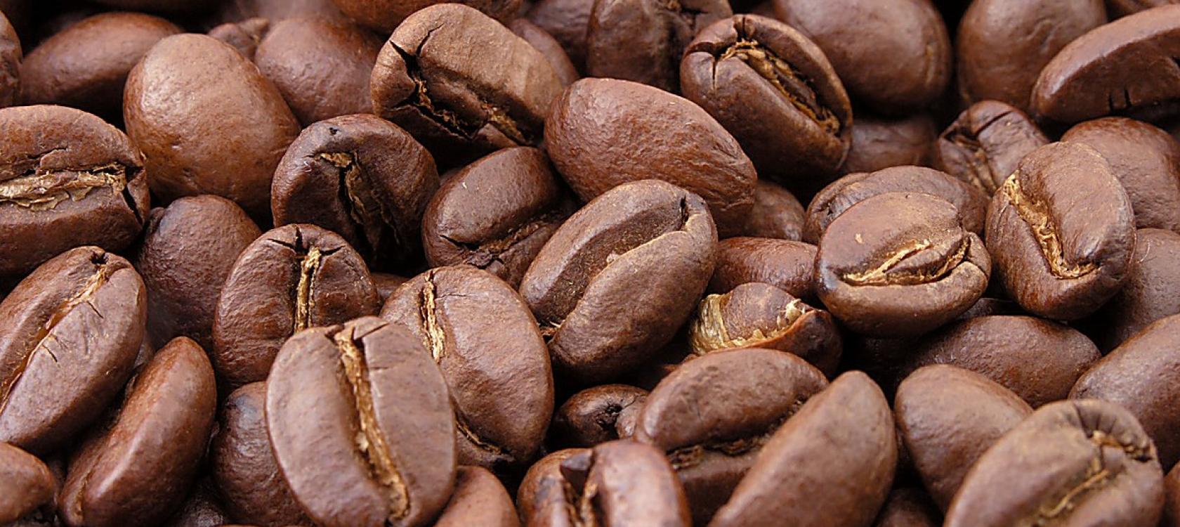 Proparco, Bic-Bred (Suisse) SA et le groupe Touton s’associent pour soutenir les exportations de cacao et café venant d’Afrique