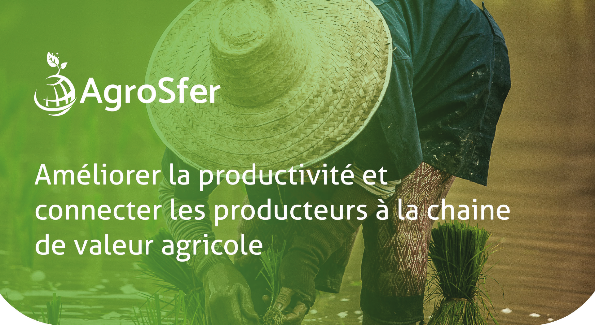 AgroSfer digitalise les chaînes de valeur agricoles en Afrique