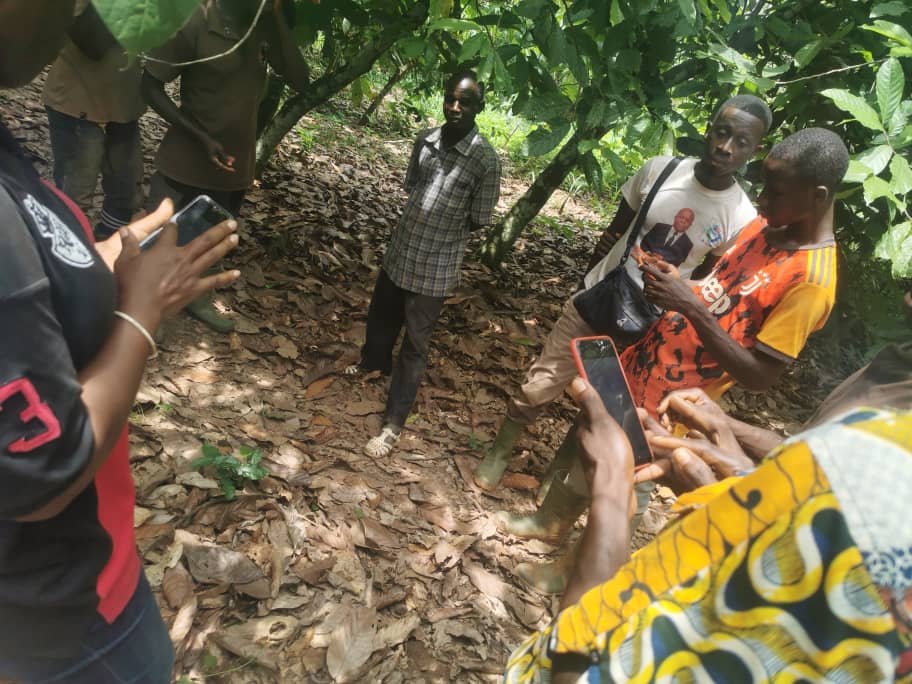 Bénin : Une plateforme connecte les agriculteurs et les industriels