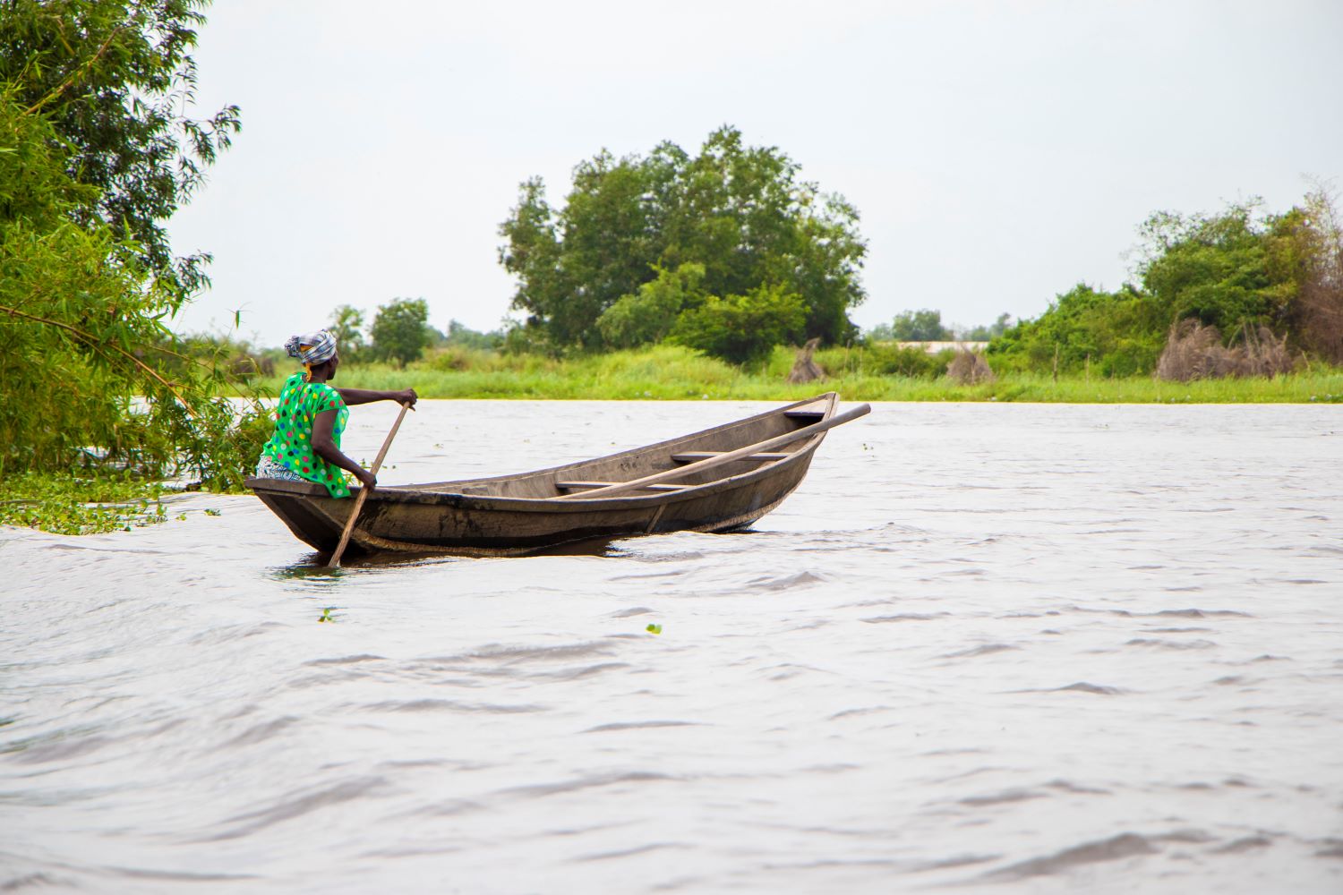 La jacinthe d’eau au Bénin : transformer une menace en opportunité économique, avec le Gret et l’Aced