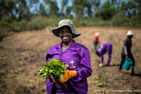 I&P et l’agro-alimentaire : accompagner les PME qui nourrissent l’Afrique