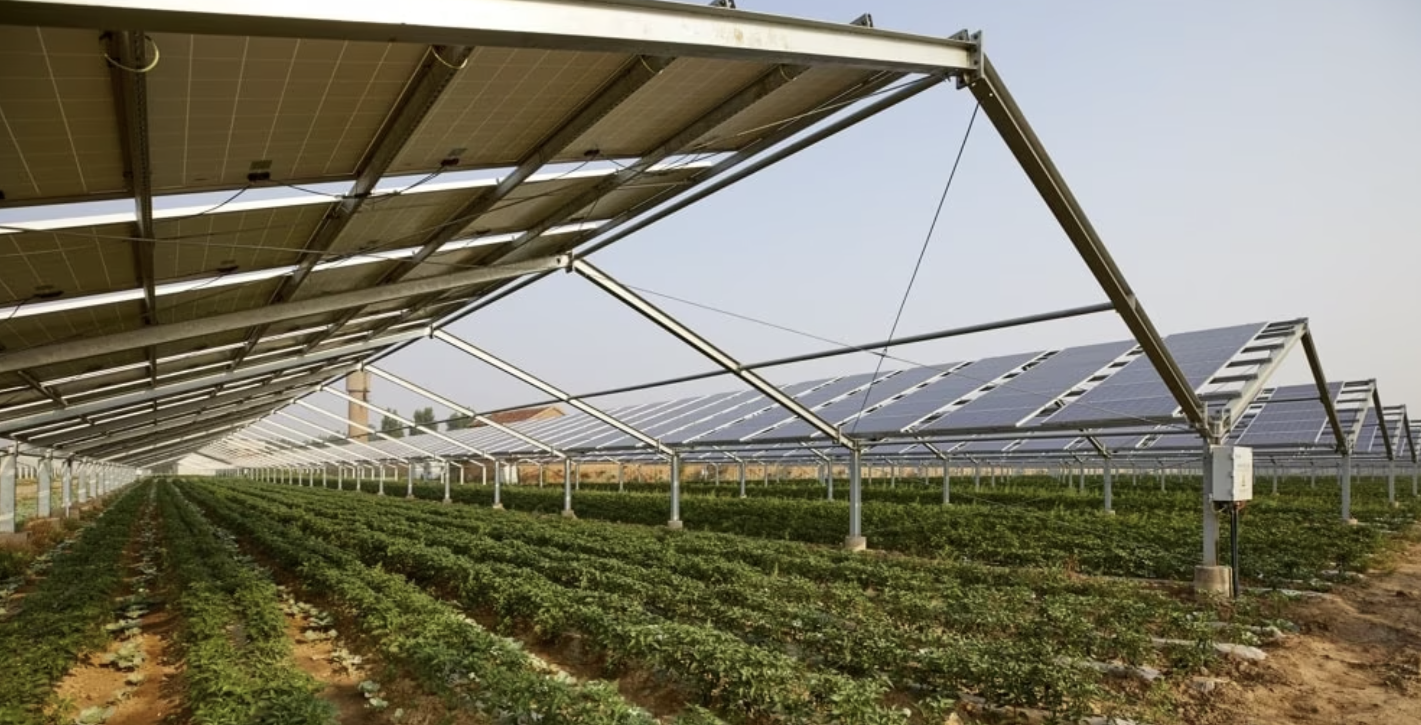 SÉNÉGAL : une centrale solaire photovoltaïque pour l’agriculture durable à Saint-Louis