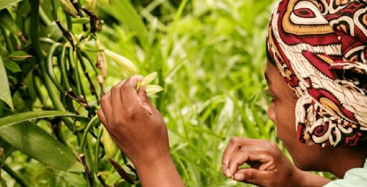 Partenariat entre OCP Africa et ITFC : Bientôt un mécanisme de financement innovant pour les petits exploitants agricoles d’Afrique