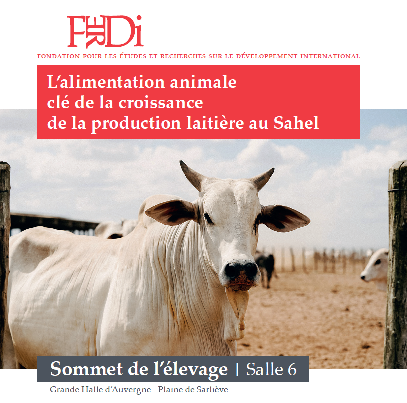 L’alimentation animale, clé de la croissance de la production laitière au Sahel – table ronde de FERDI