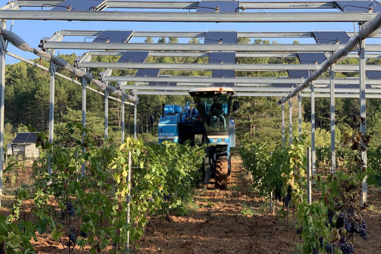 Les ombrières photovoltaïques pour l’agriculture, une solution pour l’Afrique !
