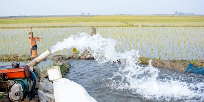 NIGER : un programme d’Orano permettra l’irrigation de 21 200 hectares de terres d’ici à 2027 | Afrik 21