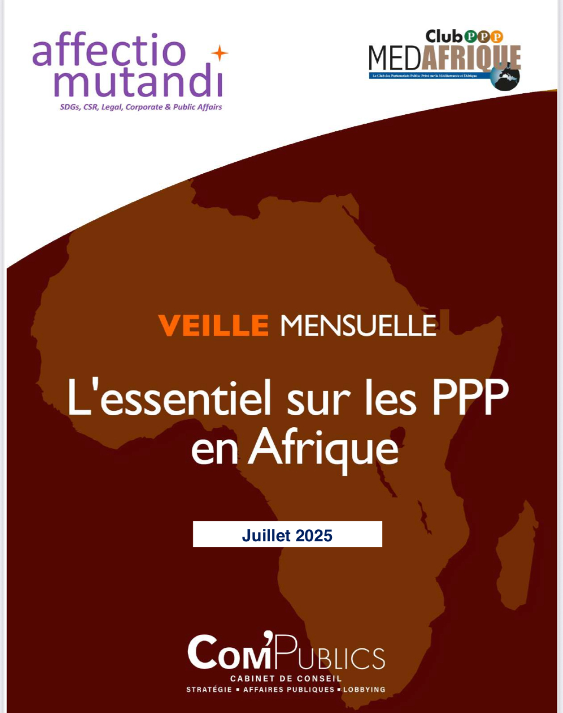 L’essentiel sur les PPP en Afrique – la veille experte !!! L’essentiel sur les PPP en Afrique – la veille experte !!!