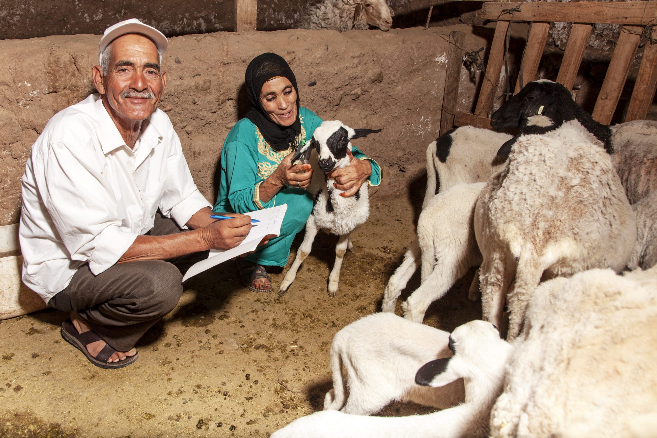 Agrisud : L’élevage familial, pilier de l’agro-écologie et des territoires ruraux Agrisud : L’élevage familial, pilier de l’agro-écologie et des territoires ruraux