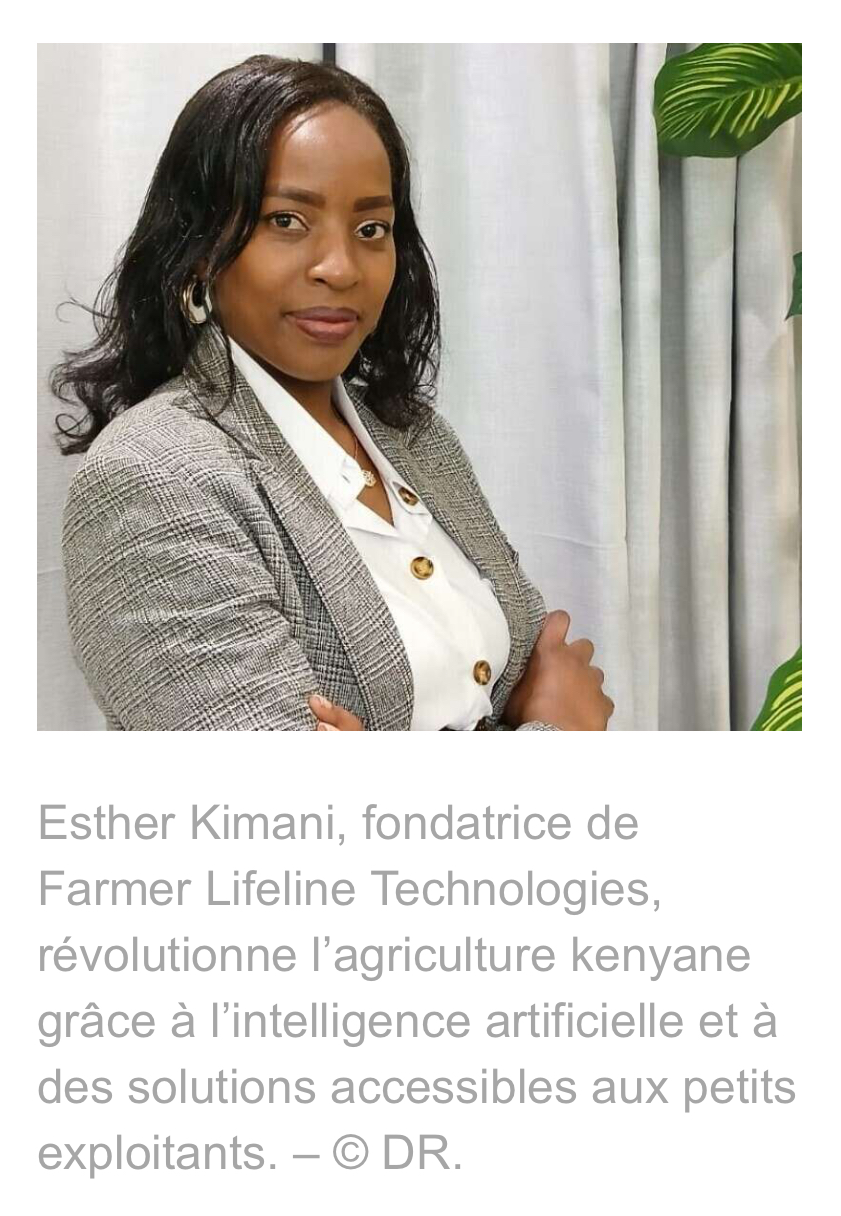 Révolution agro-tech : comment Esther Kimani transforme l’agriculture kenyane avec l’IA Révolution agro-tech : comment Esther Kimani transforme l’agriculture kenyane avec l’IA