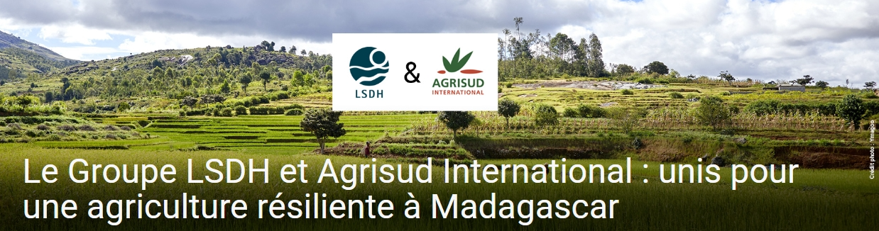 Le Groupe LSDH et Agrisud International : unis pour une agriculture résiliente à  Madagascar | Agrisud