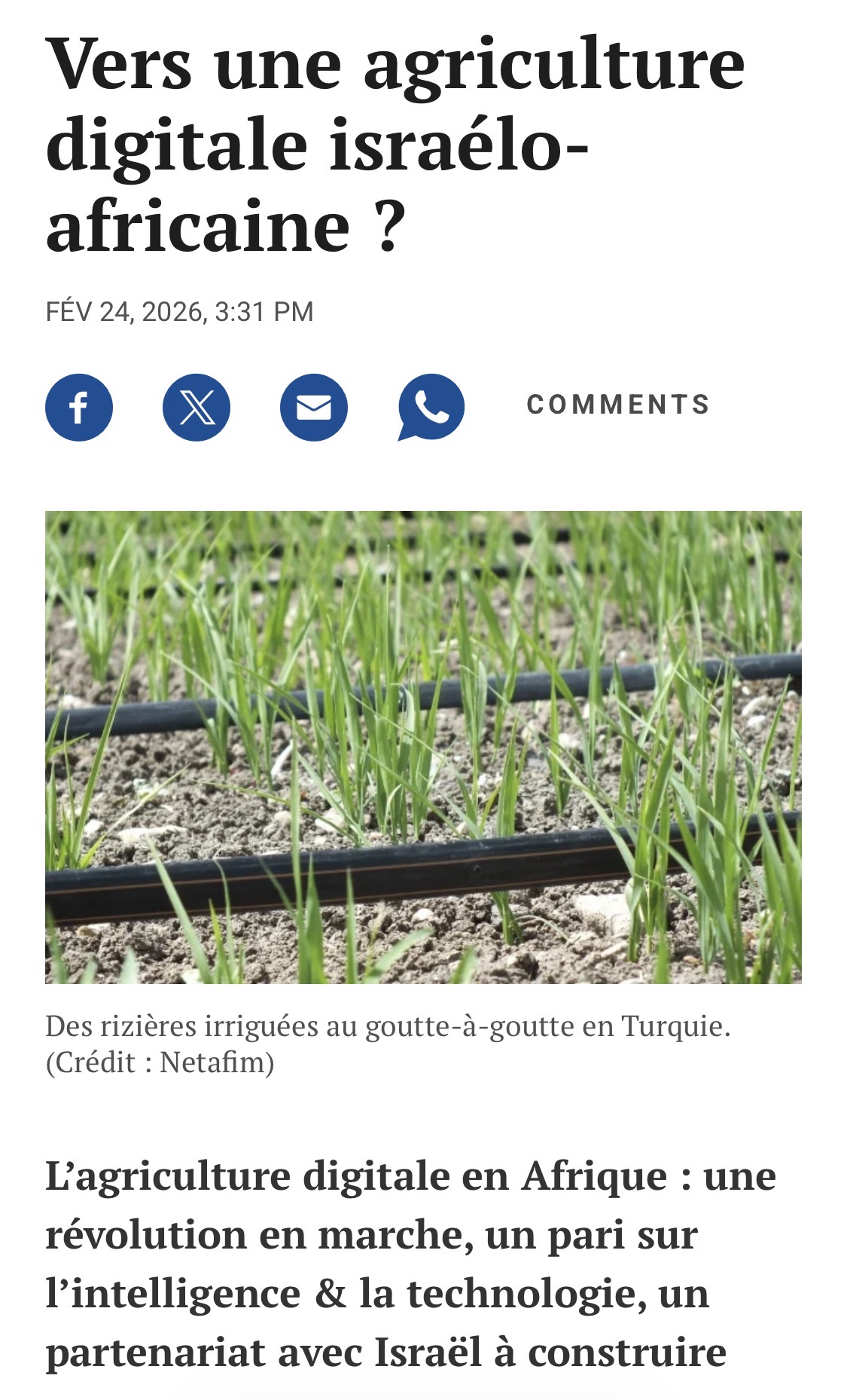 Vers une agriculture digitale israélo-africaine ? – The Times of Israël